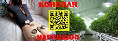 молекула духа Новодвинск