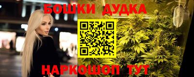 молекула духа Новодвинск