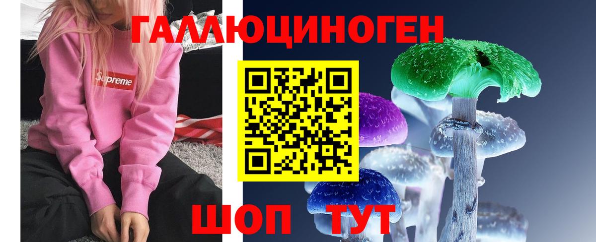 Чебоксары  Псилоцибиновые грибы GOLDEN TEACHER  Вход с VPN 